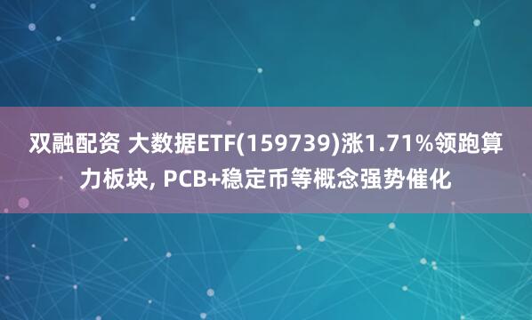 双融配资 大数据ETF(159739)涨1.71%领跑算力板块, PCB+稳定币等概念强势催化