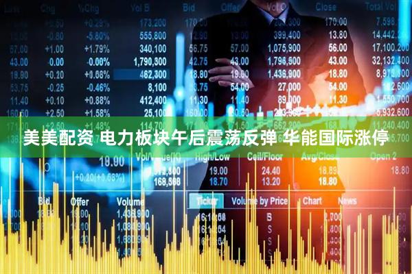 美美配资 电力板块午后震荡反弹 华能国际涨停