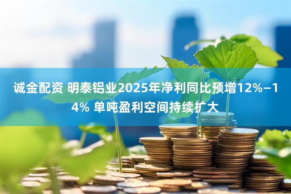 诚金配资 明泰铝业2025年净利同比预增12%—14% 单吨盈利空间持续扩大